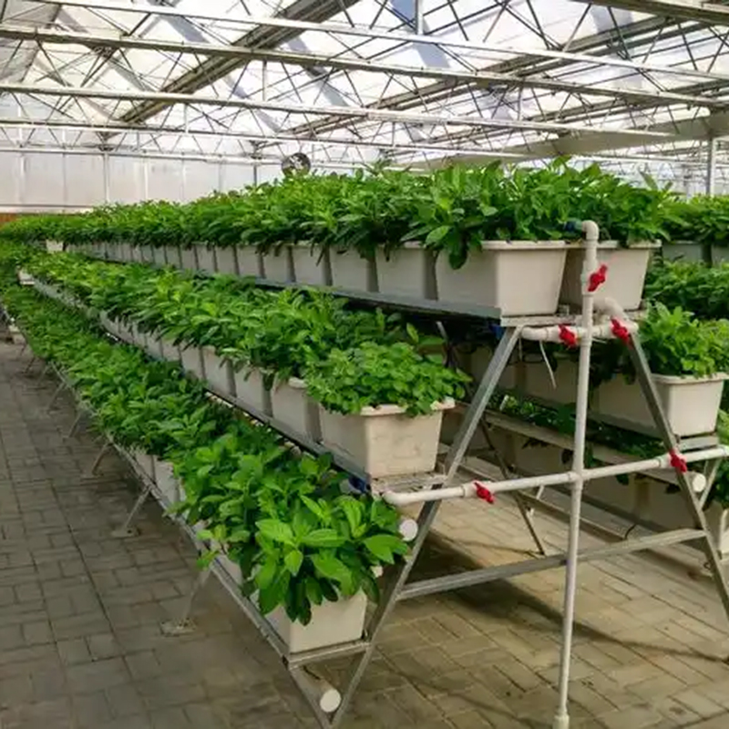 郴州市植物工厂水培设备 - 哪里好