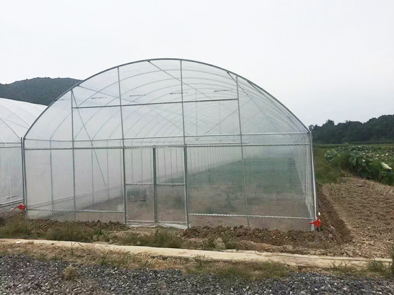 郴州市薄膜大棚植物工厂 - 推荐